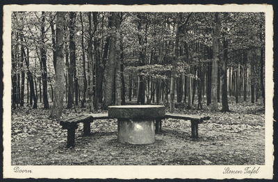 17835 Gezicht op de Stenen Tafel in het bos bij Doorn.